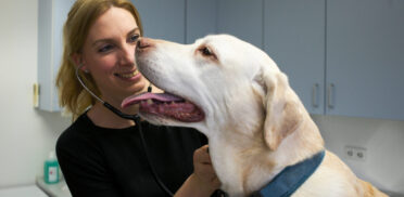 Tierarztpraxis Dr Kaiser