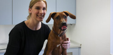 Tierarztpraxis Dr Kaiser