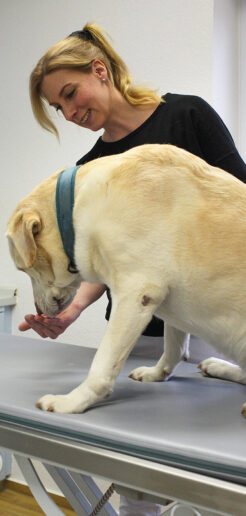 Tierarztpraxis Dr Kaiser